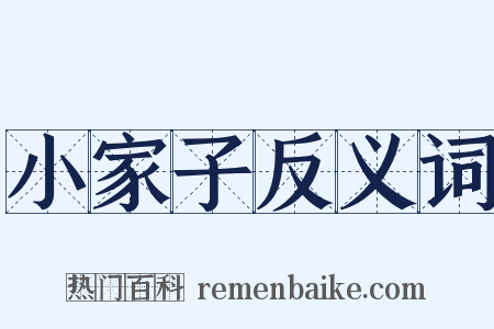 小家子反义词是什么意思的图片